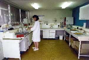 Fabrication du roquefort