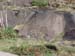 alfeld-granite%20(17)_JPG