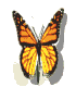 Voir la vid�o sur la biodiversit�