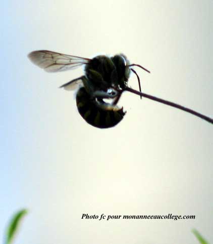zoom